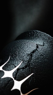 [DROP-05] Stratam var. cochlea ssp. 反転（鉢プレートセット）
