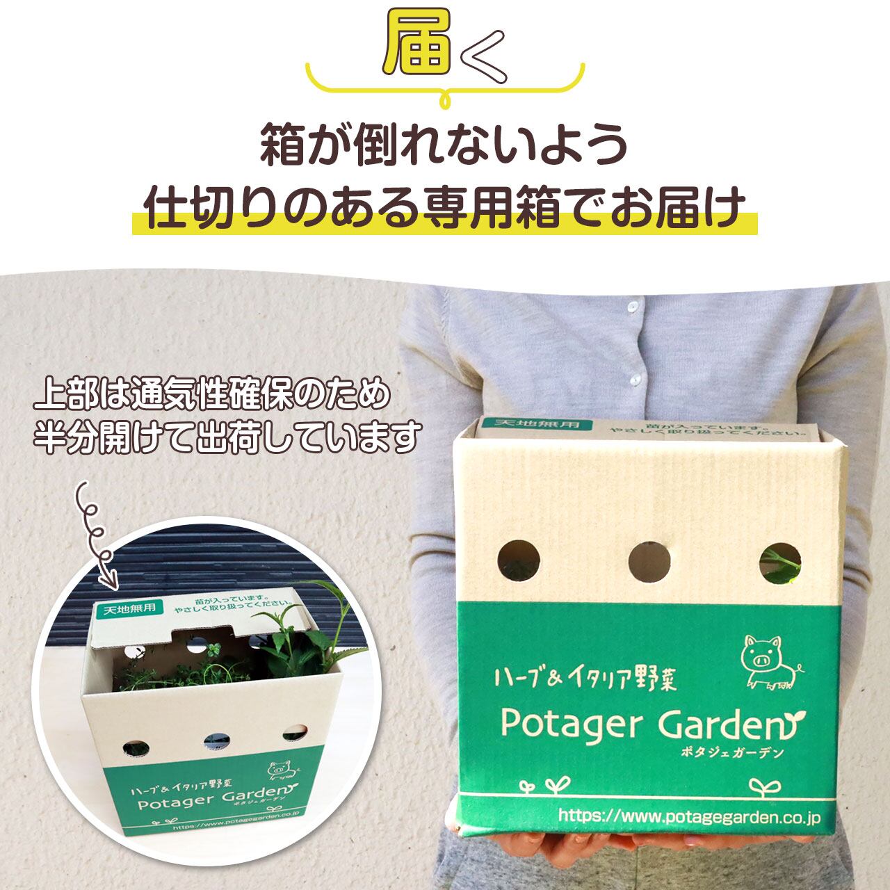 ハーブ 苗 セット 5個 | ハーブ苗のポタジェガーデン 本店