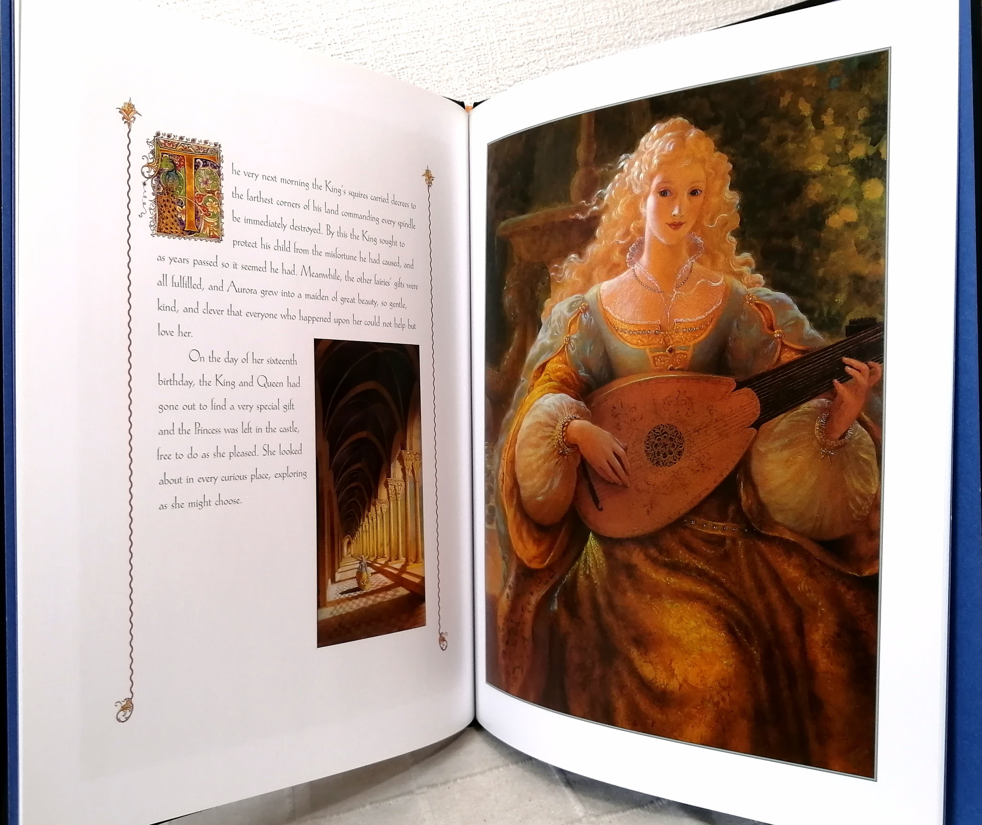 K. Y. Craft Sleeping Beauty Chronicle Books | 札幌の古書店