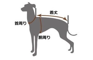 サイズの測り方 ※こちらは商品ではありません