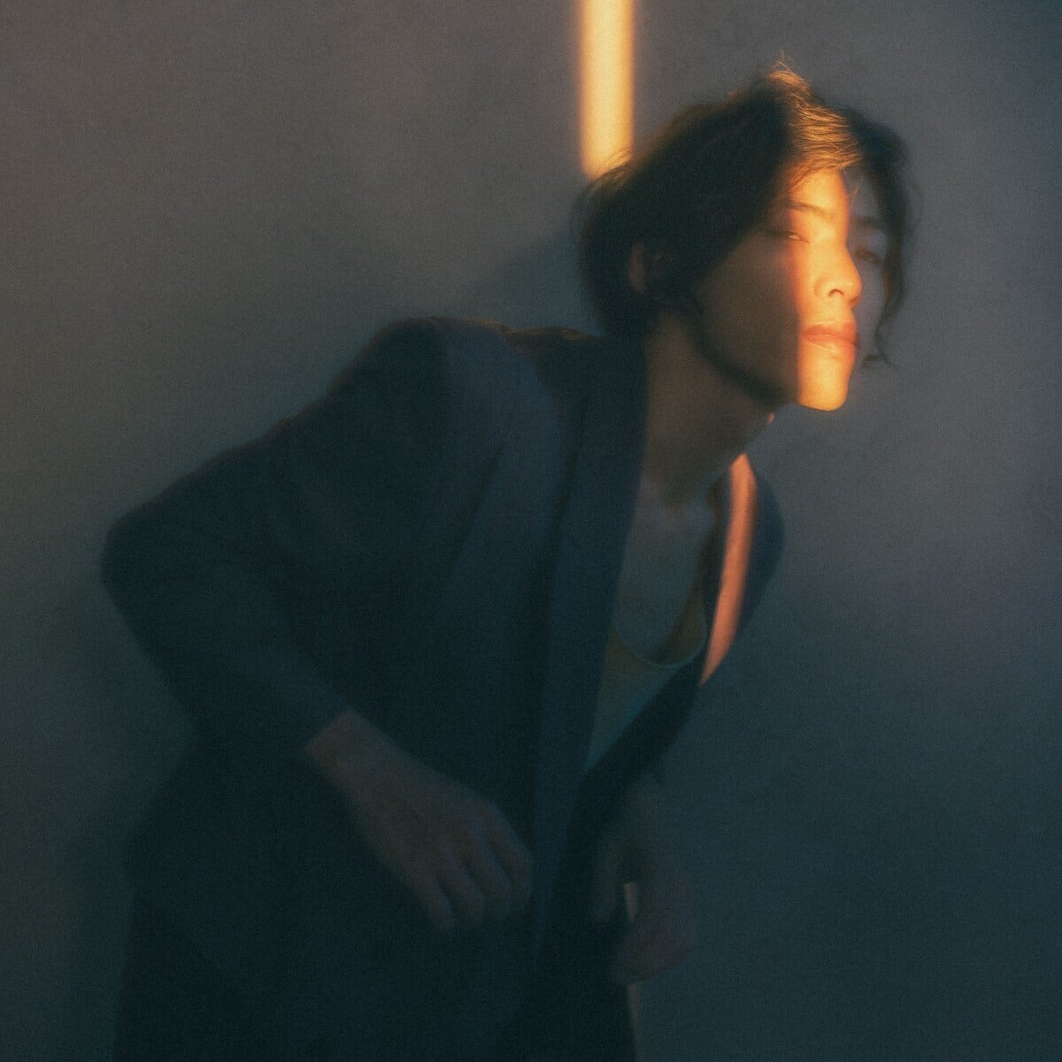 君島大空 / no public sounds(Ltd 2LP)