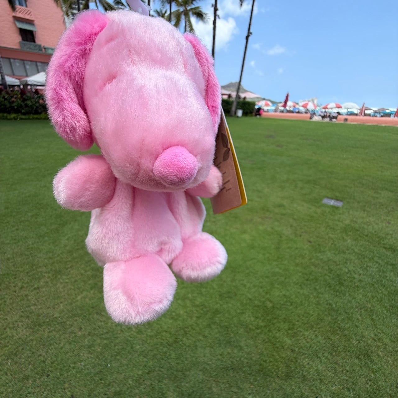 ハワイ限定スヌーピー | Big mahalo Honolulu