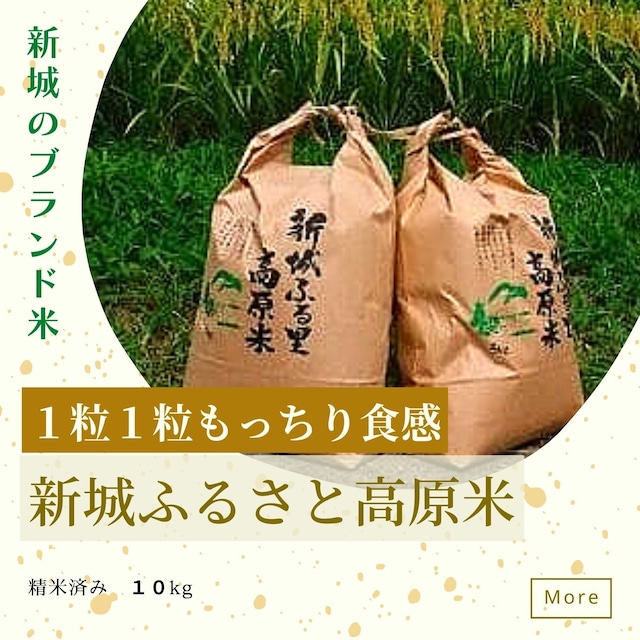 新城ふるさと高原米【10キロ精米済】