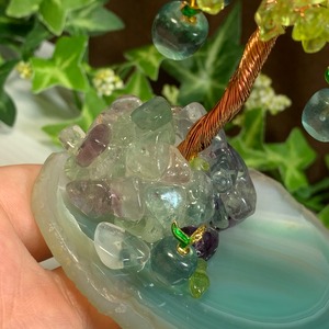 フローライトねこちゃんの集い場~青いリンゴがなるペリドットツリー~