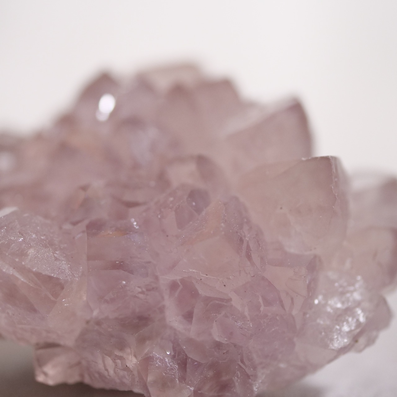 フラワー アメシスト アメジスト / 原石 標本