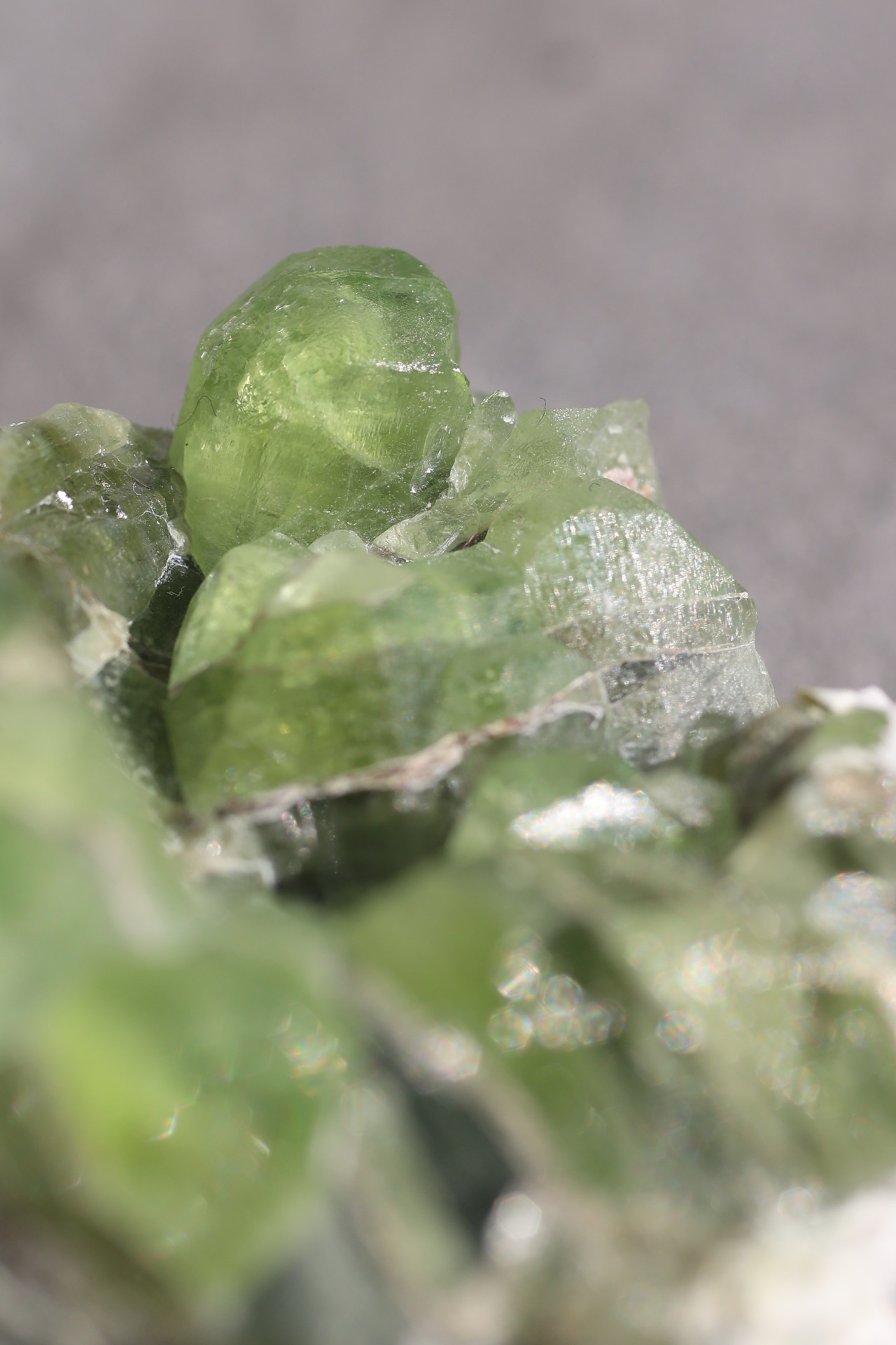 ペリドット「若葉の光」Peridot|天然石 原石 鉱物 パワーストーン | PD-H-001