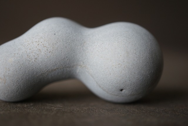 メニライトオパール Menilite Opal 1289