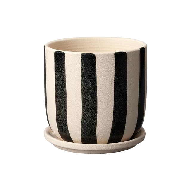 ECOPOTS Oslo エコポッツ AND PLANTS アンドプランツ (3.トープ