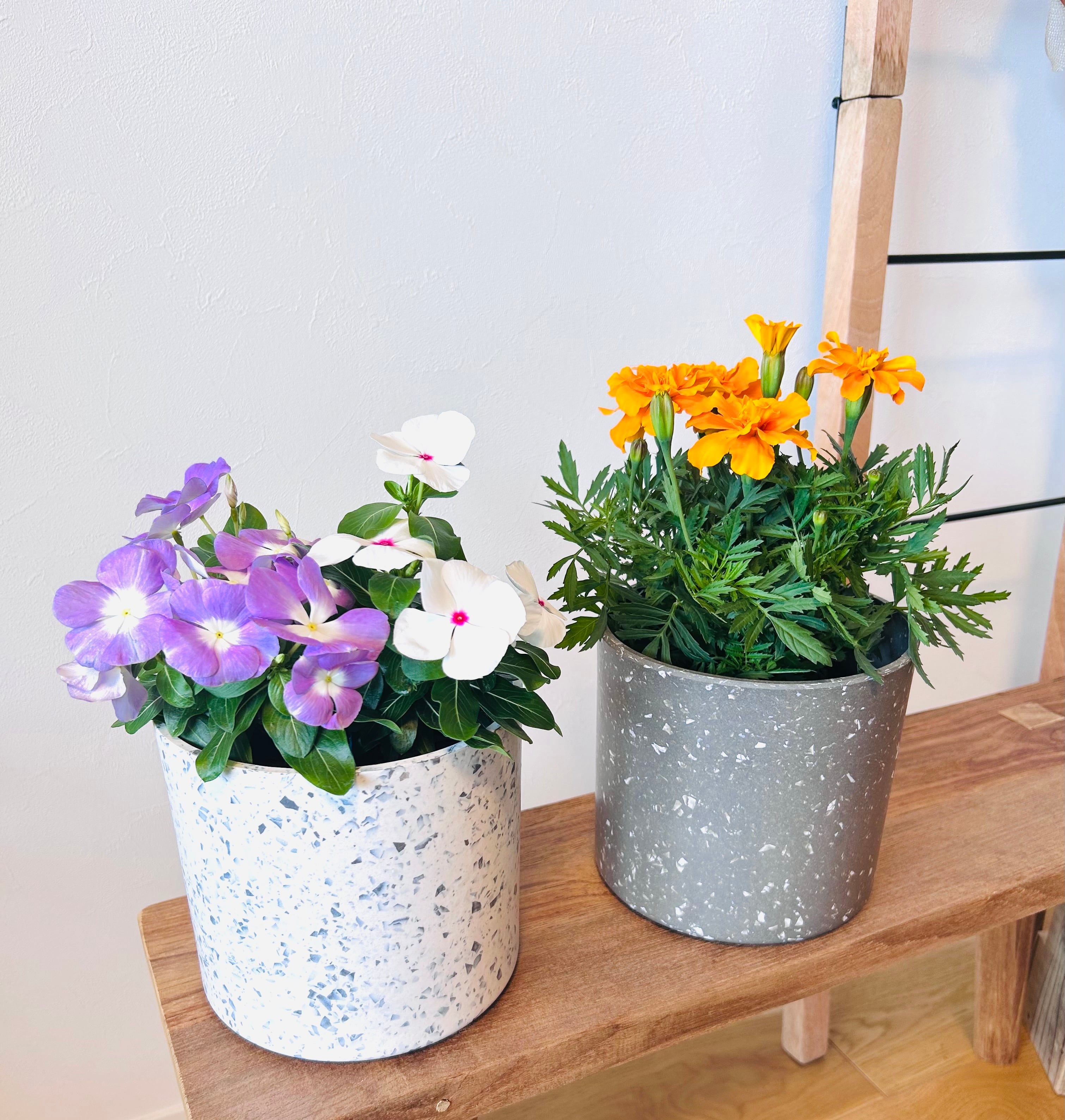 SALE 30%OFF】エコチップマーブルフラワーポット Lサイズ | 暮らしとよ