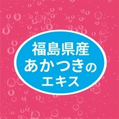 ウィルキンソン アサヒ飲料 タンサン ダブルピーチ 500ml×24本