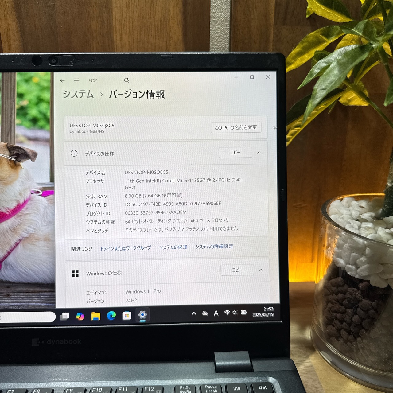 \ 公式ショップ限定価格❣️/ 超軽量《ハイスペック》dynabook G83/HS 第11世代 13.3インチ メモリ8GB SSD256GB ノートパソコン 安心サポート&3ヶ月保証付き