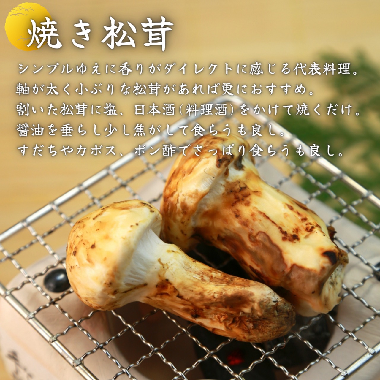 2026年10月上旬から順次発送】国産松茸 300g ランク《》 無くなり次第