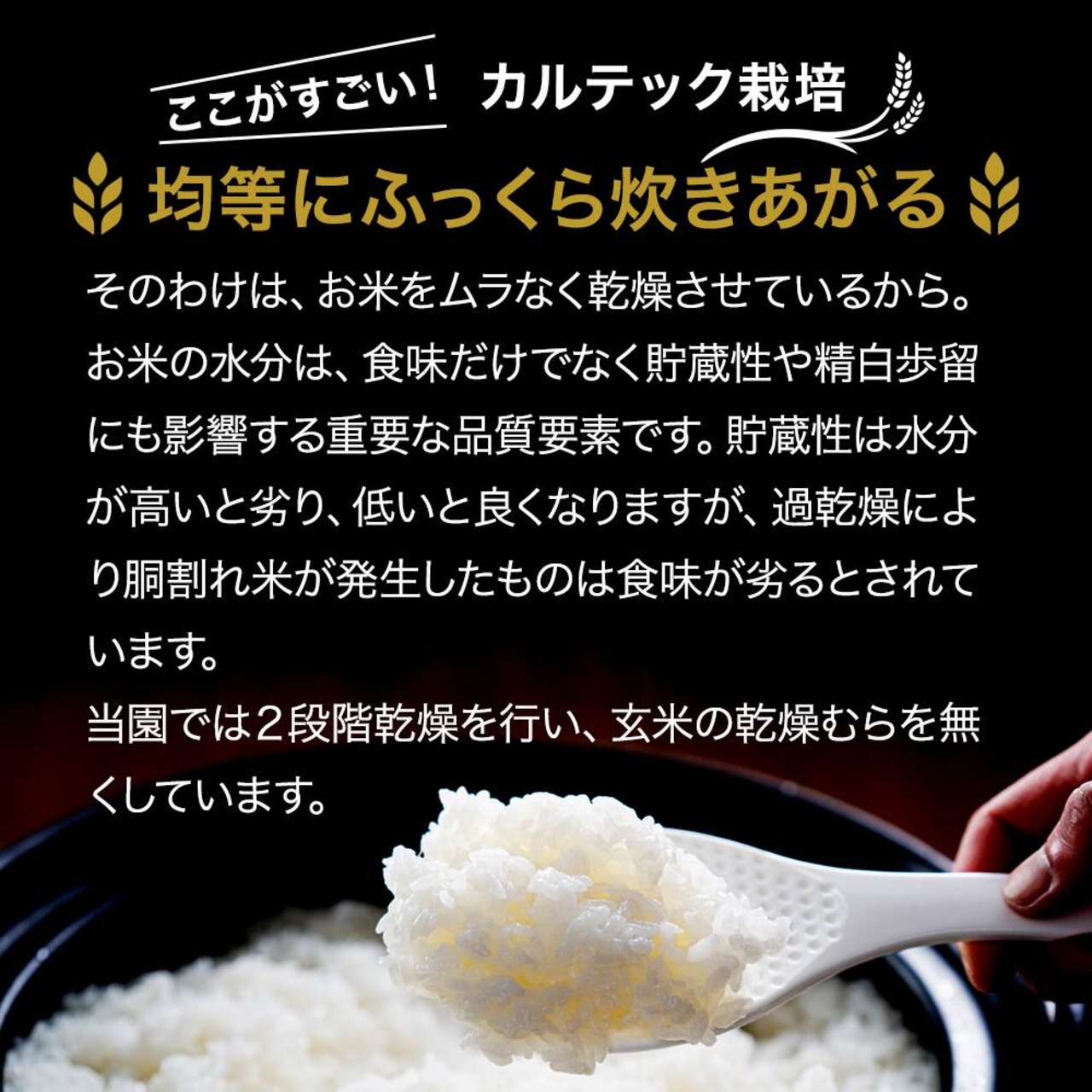 3カ月定期便】おいしいお米コンテスト受賞 京都丹波産コシヒカリ 令和5