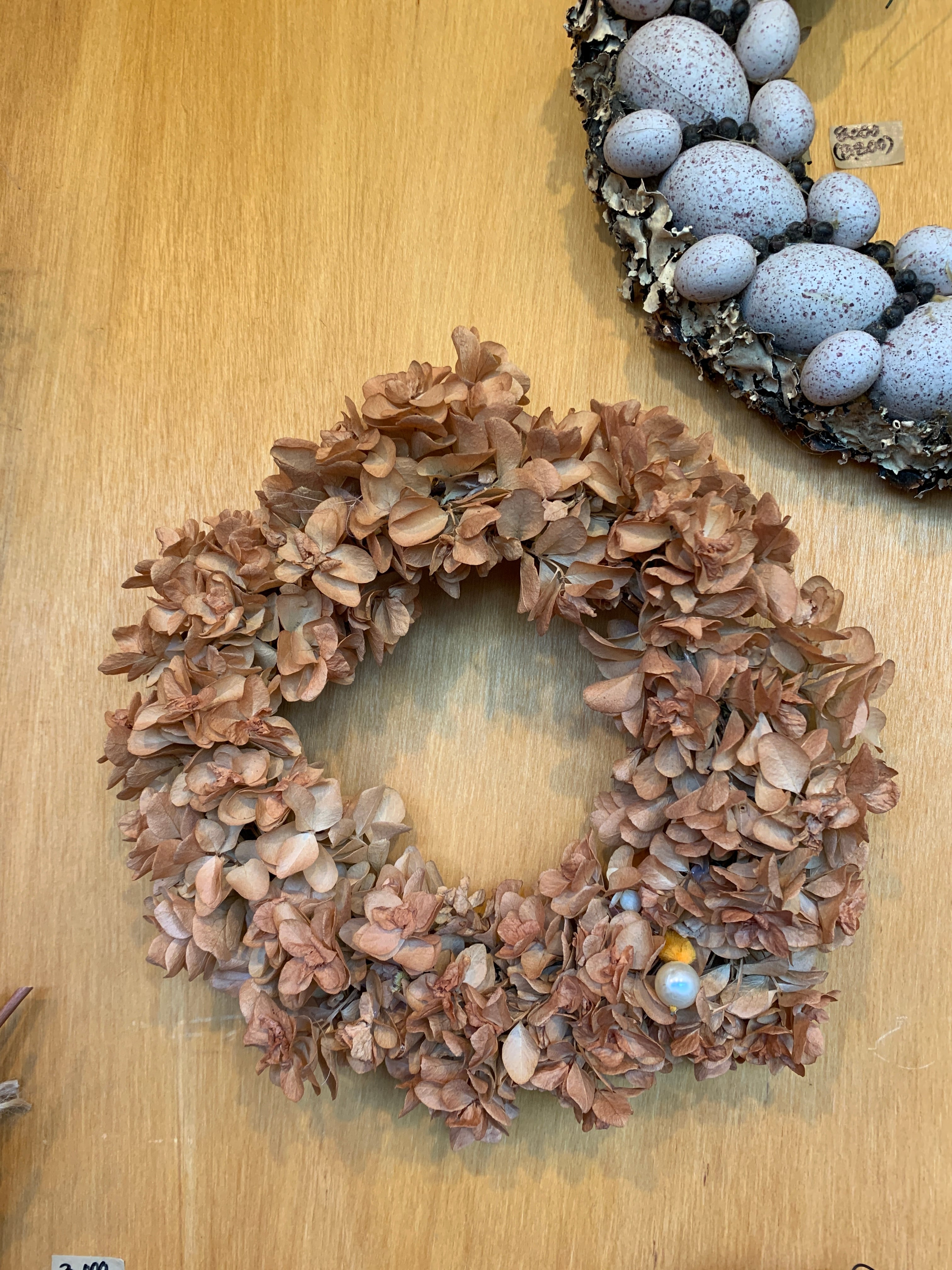 カシワバアジサイのリースM | 京都 おむろ YUUKIESGARDEN(ゆうきいずが