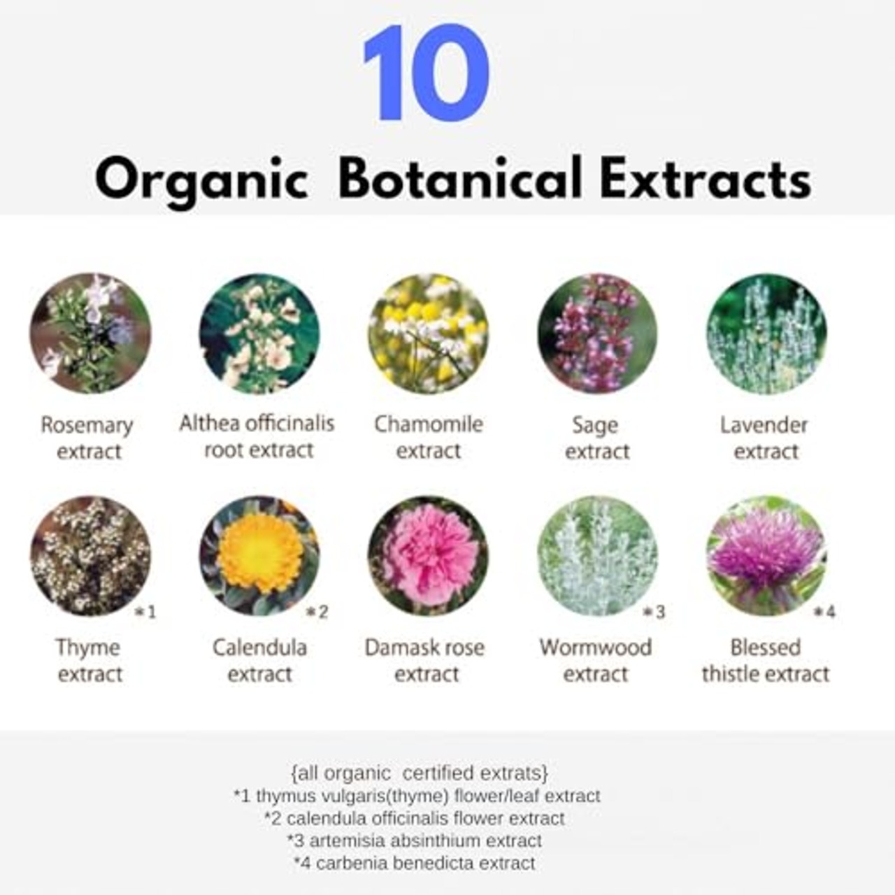 Diane Bonheur(ダイアン ボヌール) 【ミニセット】シャンプー&トリートメント 40ミリリットル (x 2)