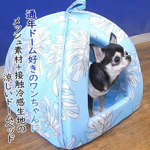 モンステラ ドームベッド ひんやり 接触冷感 クール メッシュ 洗濯