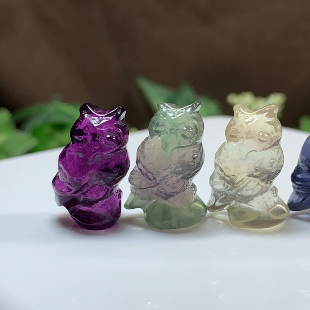 3.可愛い家族･小さいフローライトふくろう