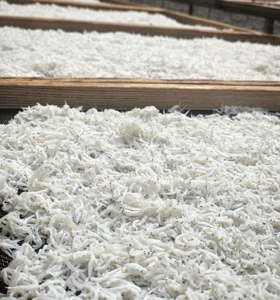 若干しらす130g（化粧箱無） | しらす屋 丸三水産