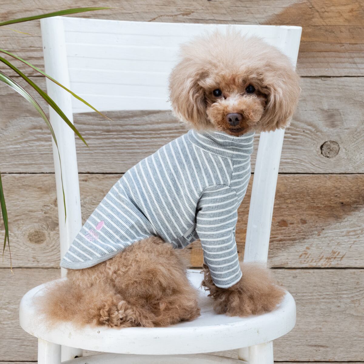 JE241 ボーダーロング袖 (XXL)〜(DM) | JEKYLL EGG | ジキルエッグ