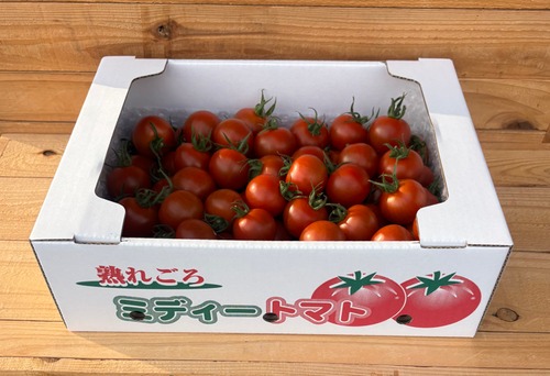すっきりとした味わい！中玉トマト「シンディスイート」（ご家庭用・２kg）・画像4