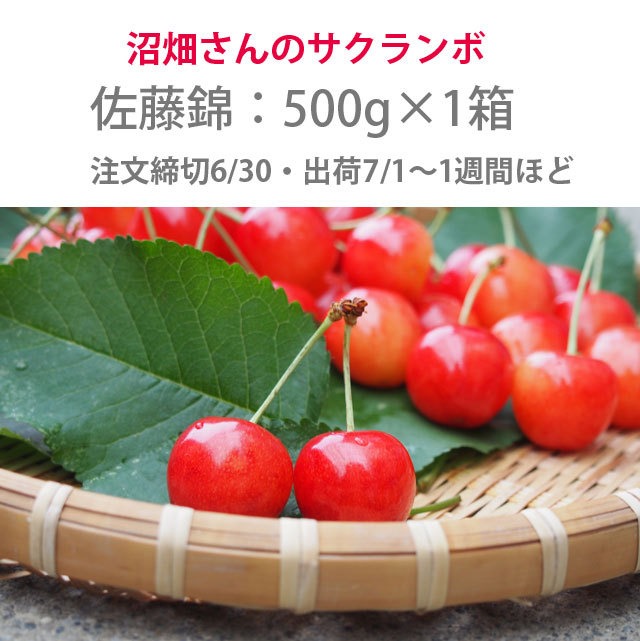 　　　　　また来年もよろしく！