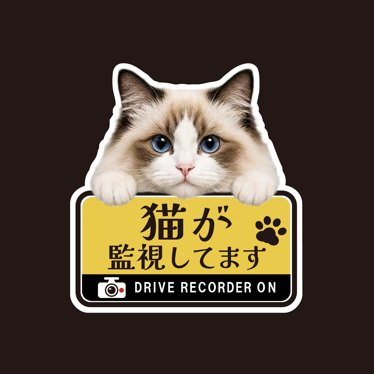 ラグドール・猫・CAT・cat・ドライブレコーダー・ドラレコステッカー・撮影中・車・ステッカー・インクジェット印刷・屋外用・猫好き・ドライブグッズ・監視しています・おもしろい・かわいい・肉球