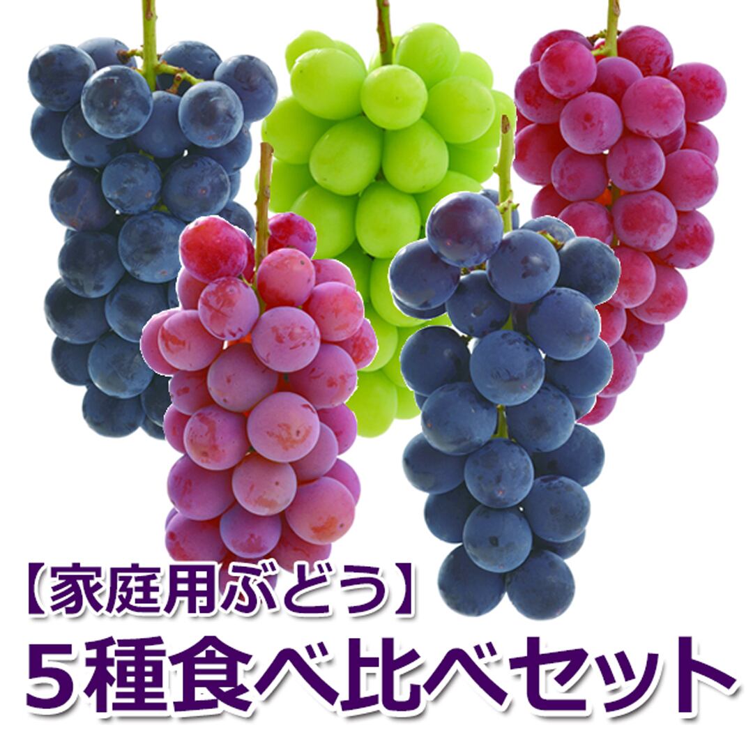 家庭用ぶどう食べ比べセット5種「5房入」 | 市川果樹園