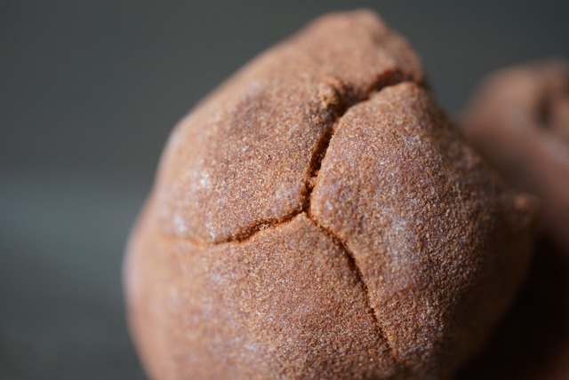 モロッコ産ストロマトライト Stromatolite 1194