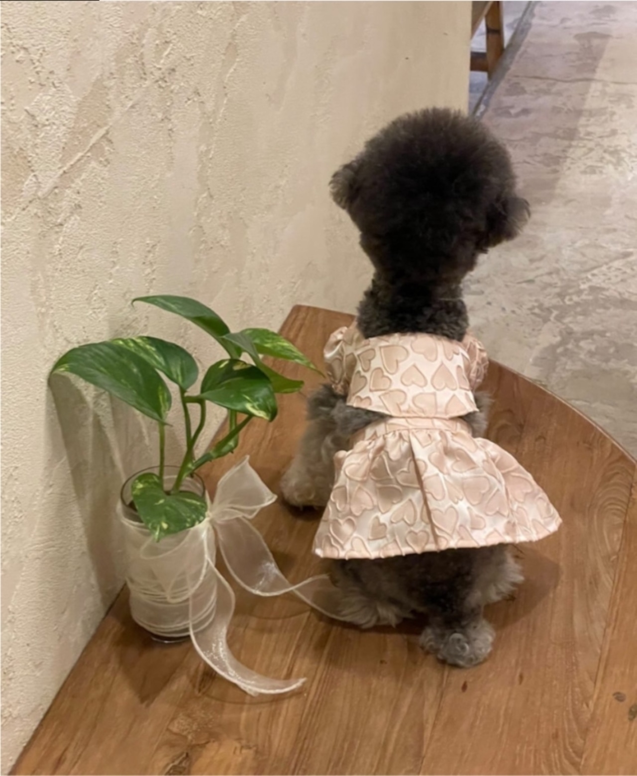 予約  【pecoramou select】 Ramblin'  Dress