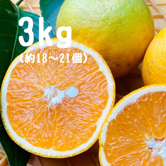 バレンシアオレンジ(3kg) バレンシアオレンジ(3kg)