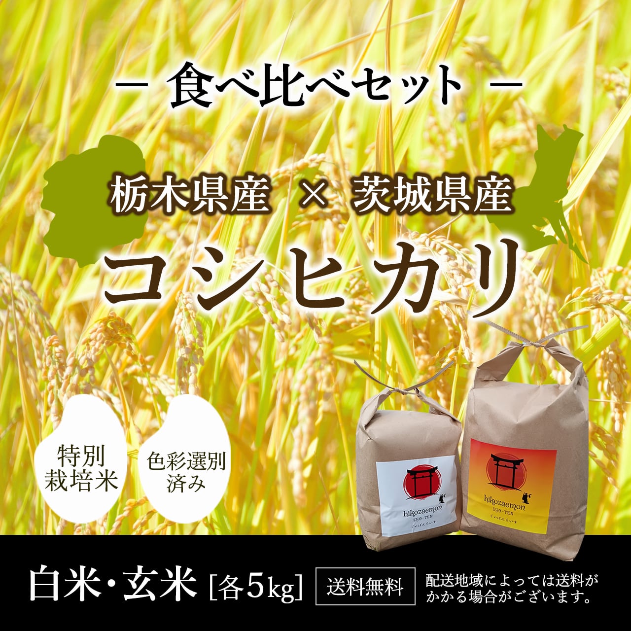 各５ｋｇ　彦左衛門商店　栃木産コシヒカリVS茨城産コシヒカリ食べ比べセット　米問屋　令和5年度産　計１０ｋｇ