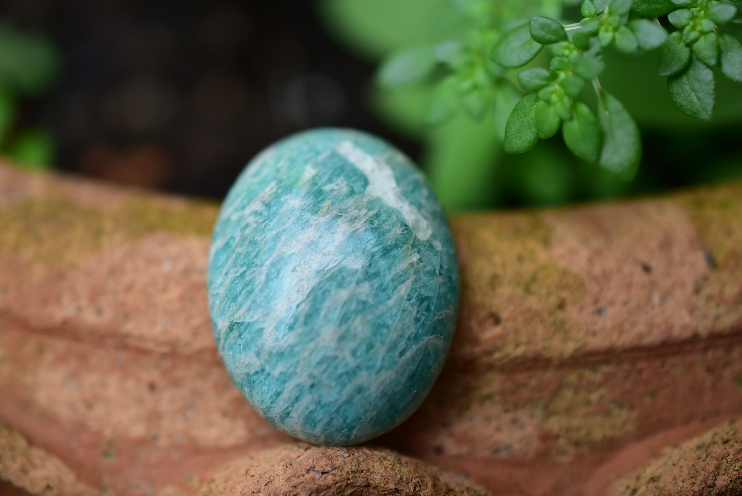 aeed808954065ede774713b46ce9de