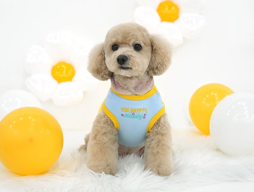 smile flower crop top S ~ XL 2color / 犬服 春夏 新作 可愛い 犬の服 Tシャツ ショート丈 トップス crop top おぱんつカット お揃い ドッグウェア 涼しい ストレッチ カラフル top159