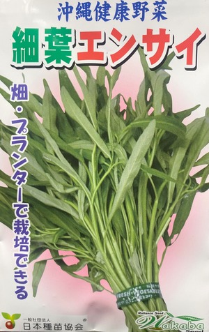沖縄島野菜種子15ml約200粒「細葉エンサイ」＊送料込み
