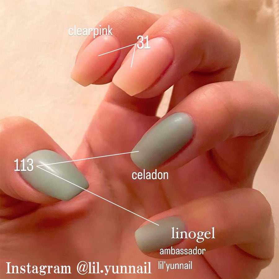 ジェルネイル カラージェル 31C クリアピンク 薄めピンク 透明感