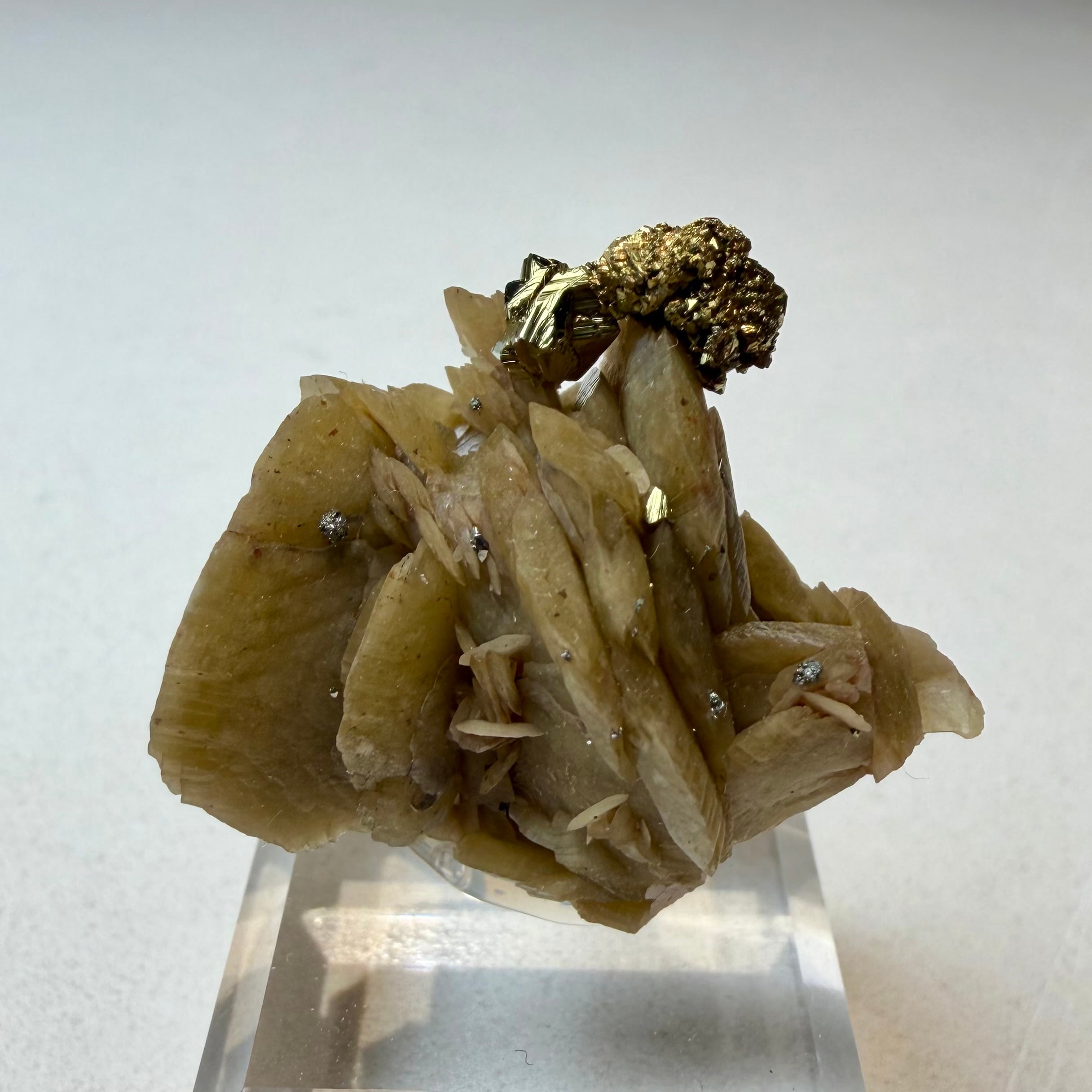 Chalco Pyrite | PEANUTS MINERALS