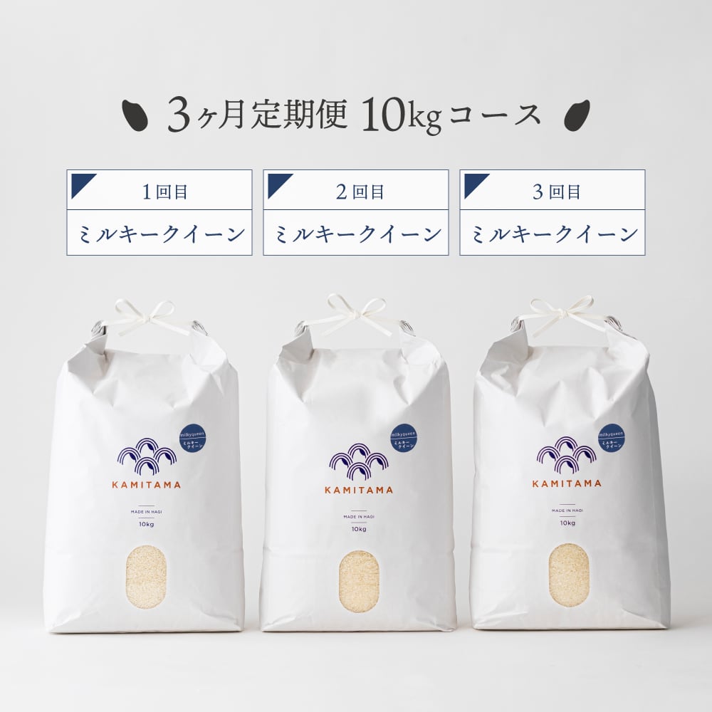 定期便】 新米 令和7年度産 ミルキークイーン10kg 毎月1回お届け 定期便】 新米 令和7年度産 ミルキークイーン10kg 毎月1回お届け