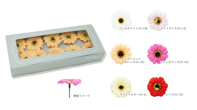 ガーベラ 10輪box 色 6種類 Savon De Fleur