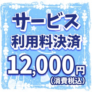 出版サービス利用料決済+Kindle配信オプション利用料¥12,000円