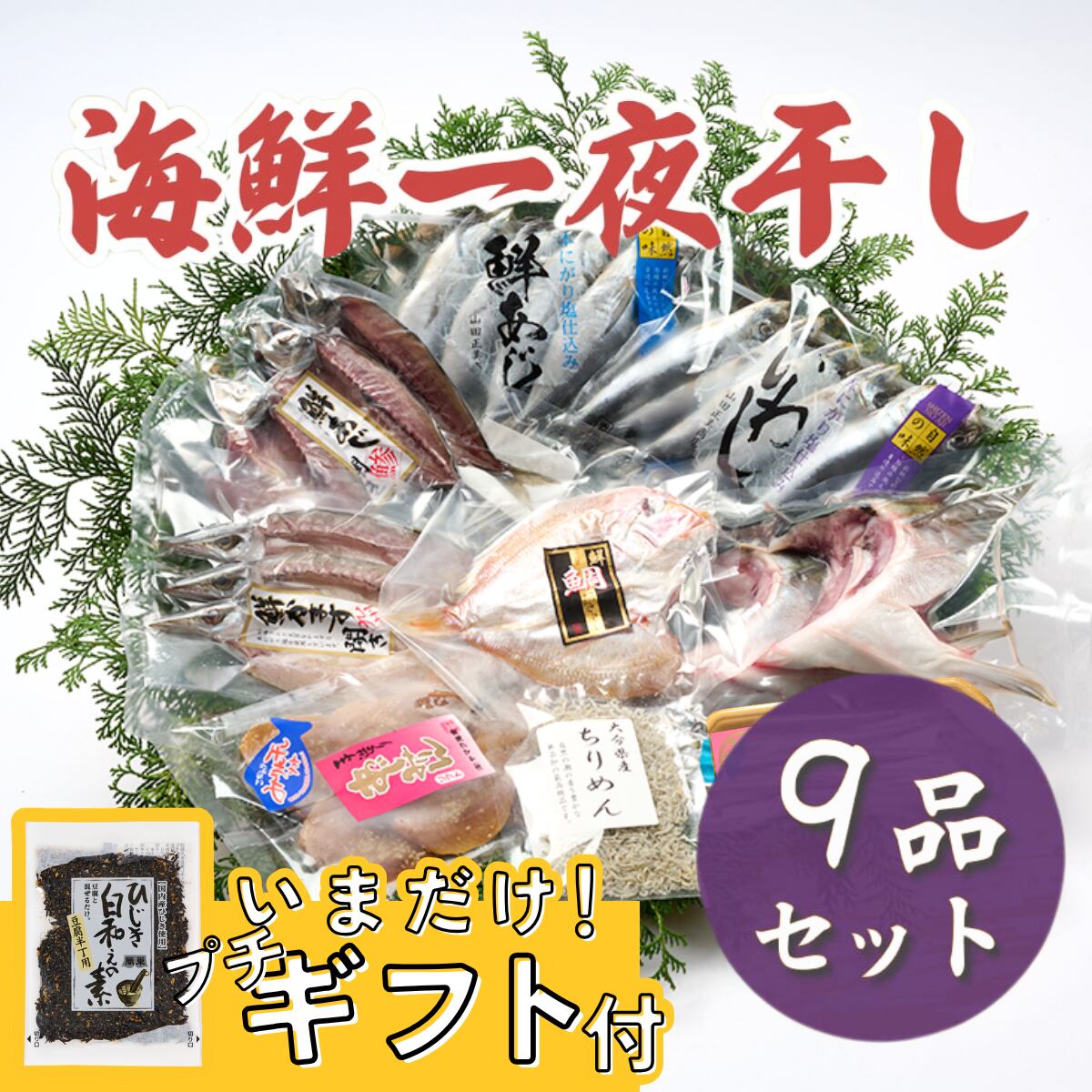 【鮮度が違う!】海鮮一夜干し9品セット【送料無料】北海道・沖縄は別途送料