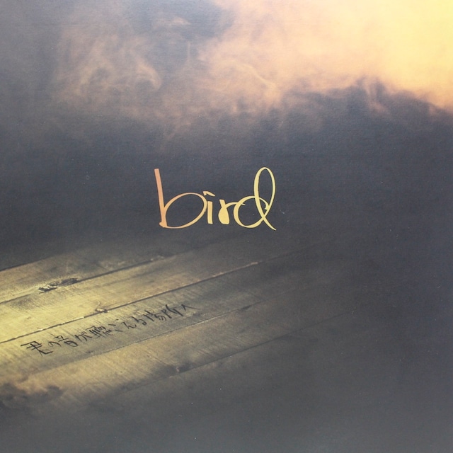 Bird / 君の音が聴こえる場所へ [AIJT 5040] - メイン画像