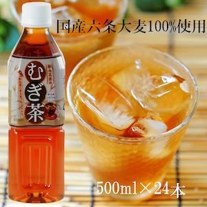 胎内高原のむぎ茶 500ml（1箱：24本入）