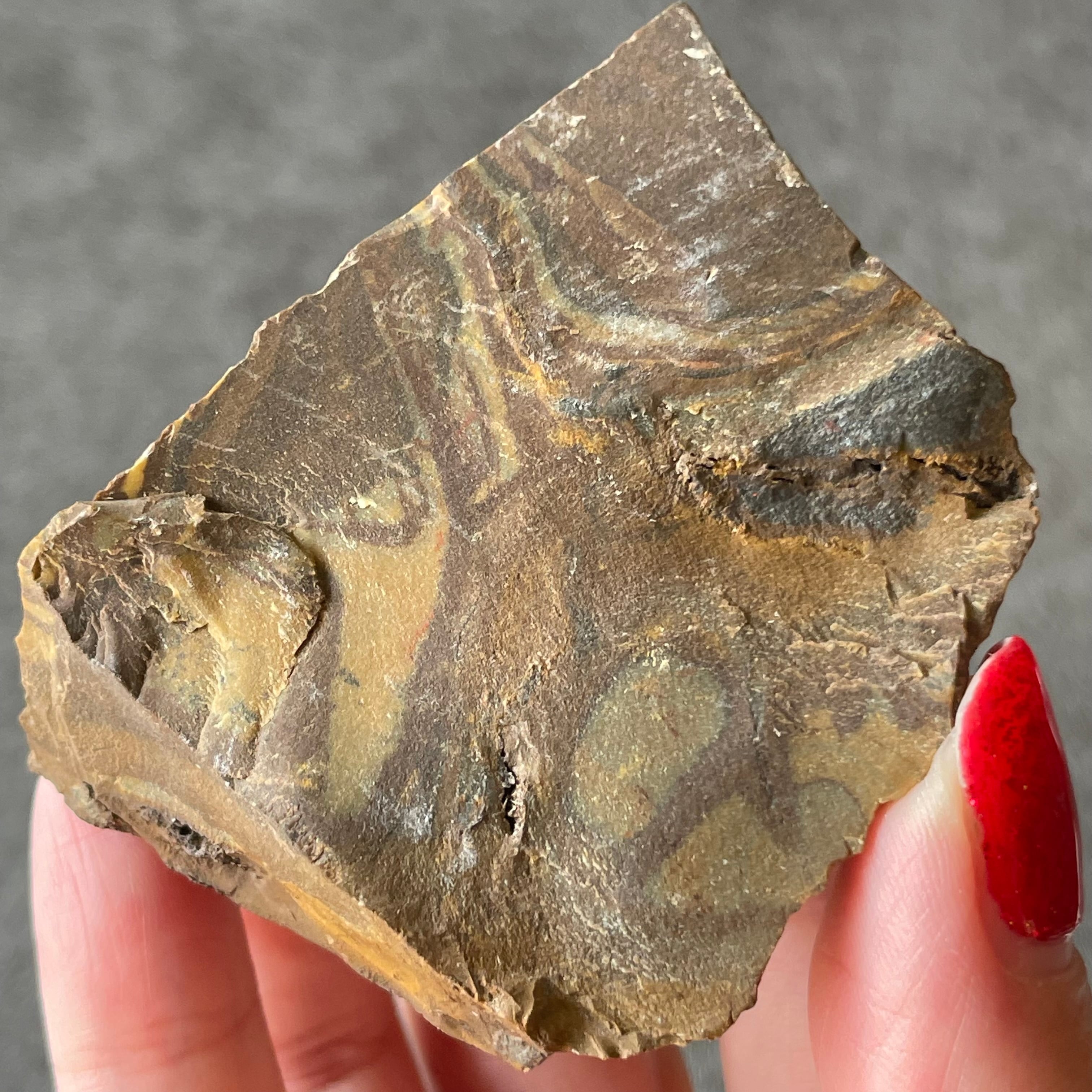 Nguni Jasper ングニジャスパー|原石|天然石 パワーストーン 鉱物 gem stone