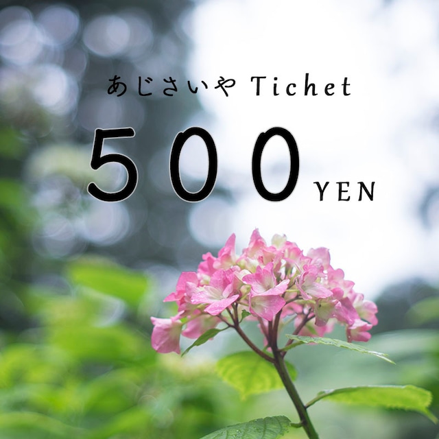 500円チケット