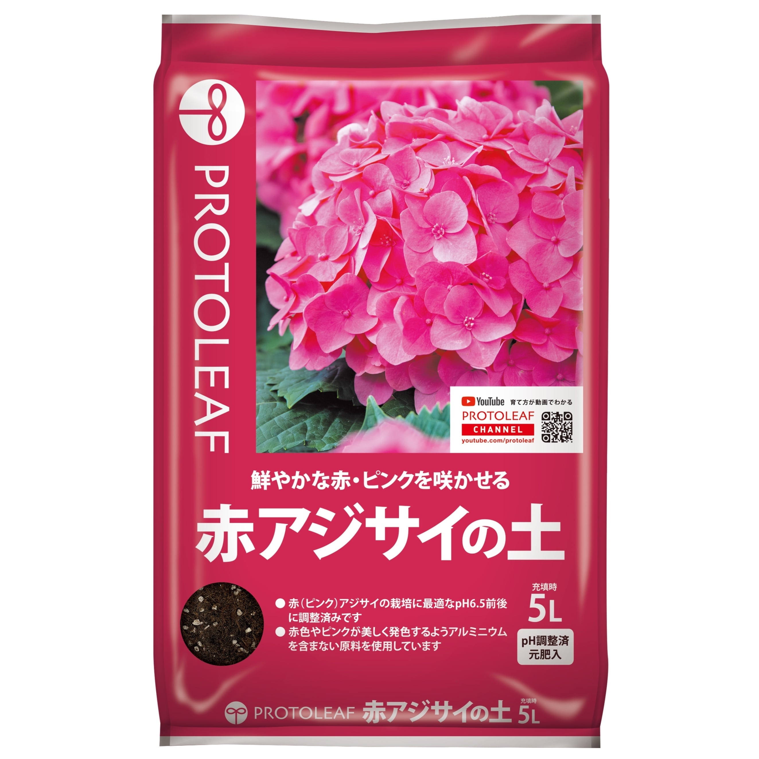 ラストです！輸入アジサイ 苗 5種セット！④ ラストです！輸入アジサイ