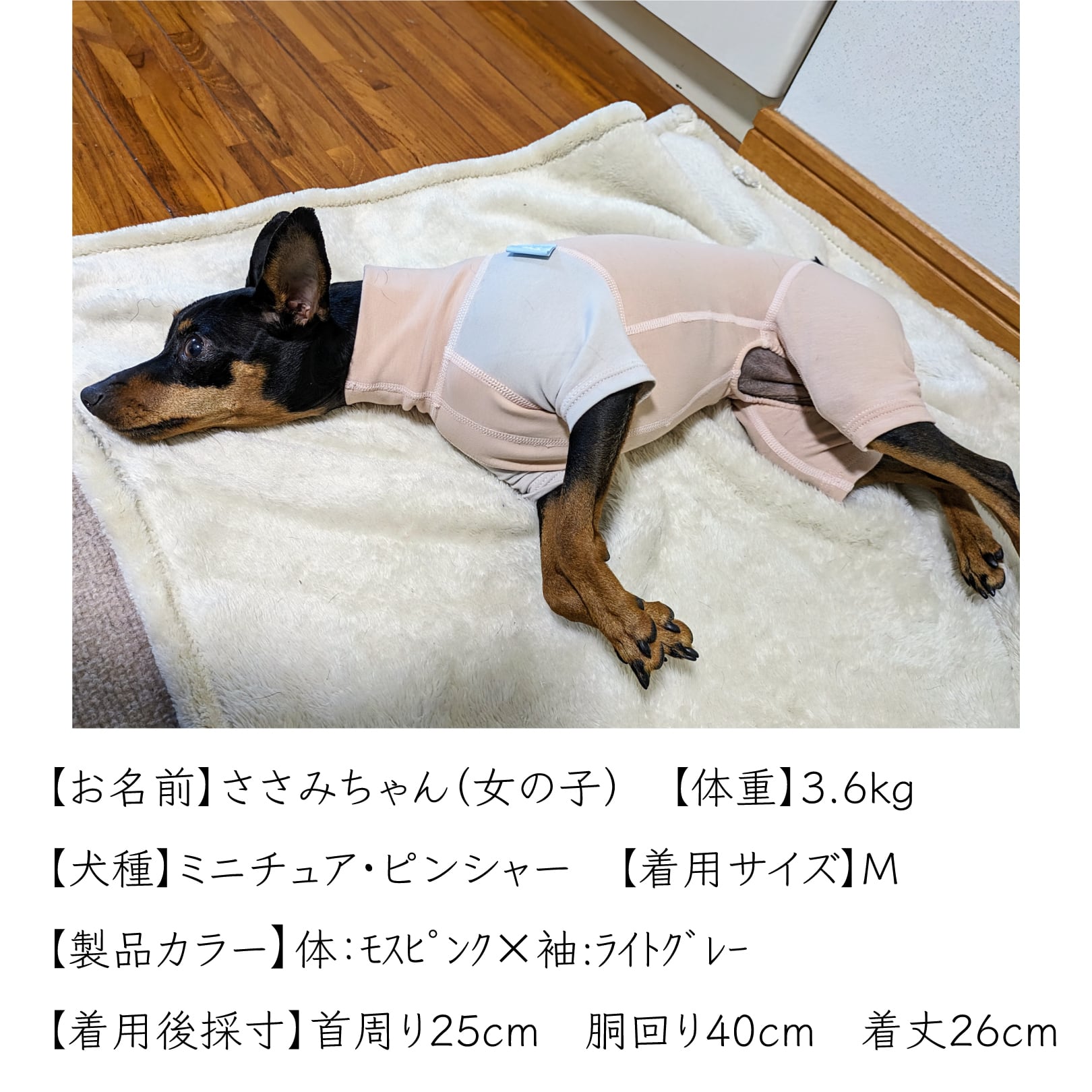 ミニチュアピンシャー服 ミニチュア・ピンシャー用｜オーガニックコットン＆抗菌消臭効果