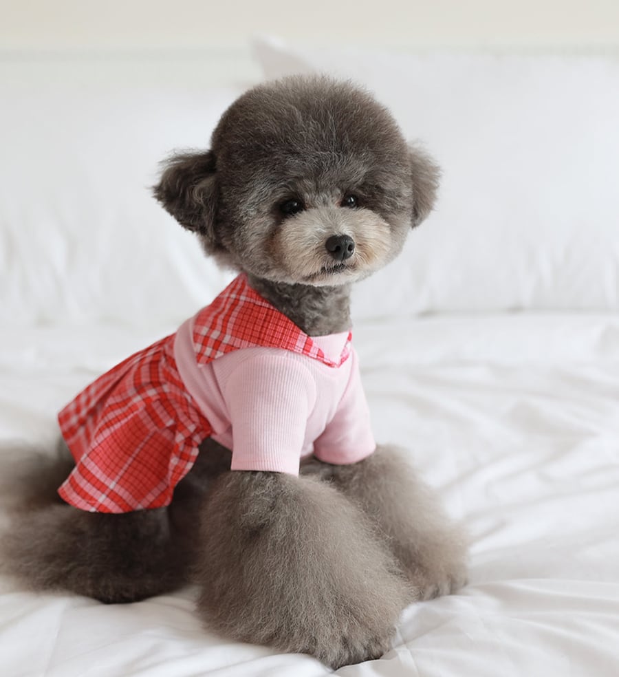 rora check sailor one-piece S ~ XL 3color / 犬服 春夏 ワンピース チェック柄 セーラー服 犬の服 お揃い 可愛い ドッグウェア お出かけ onepiece68