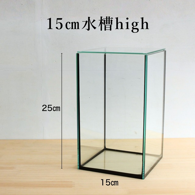 【ガラス容器】 苔テラリウム用 15cmガラス水槽＜High＞（15㎝ × 15㎝ × 高さ25㎝）