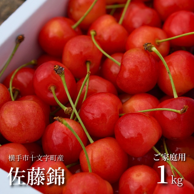 ≪予約受付開始≫【さくらんぼの王様をご家庭で】秋田県横手市十文字町産 佐藤錦 1kg[ご家庭用]