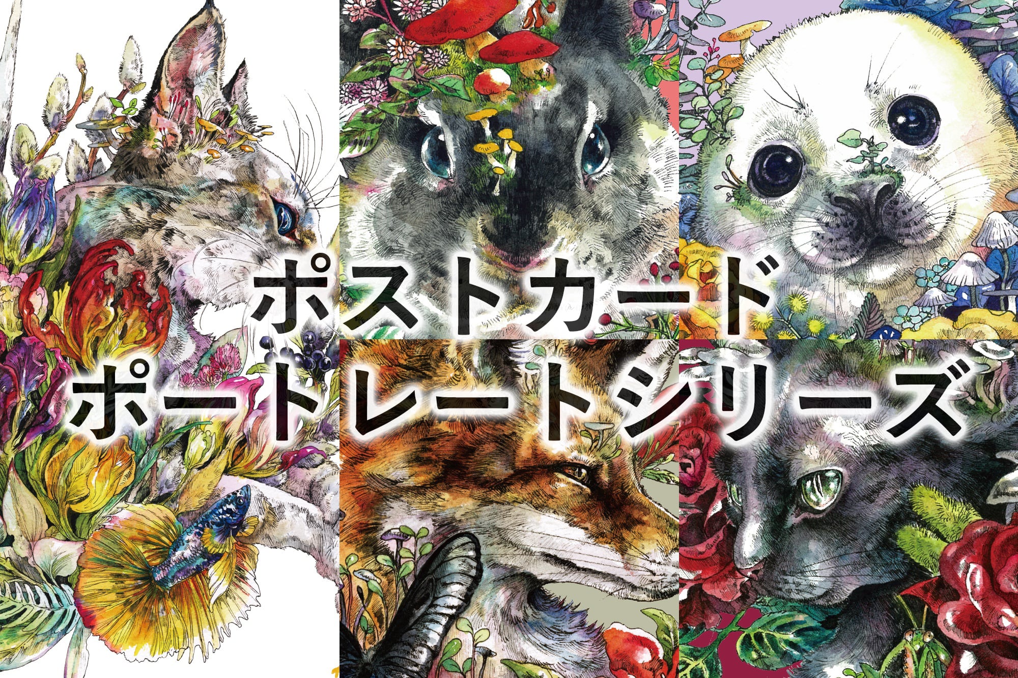 KEN MATSUDA ONLINE STORE